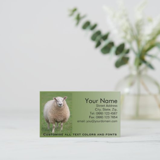 Visitekaartje schapen (Staand voorkant)
