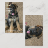 Visitekaartje Shepherd Puppy (Voorkant / Achterkant)