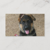 Visitekaartje Shepherd Puppy (Achterkant)