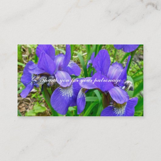 Visitekaartje Siberian Iris (Achterkant)