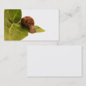 Visitekaartje slak (Voorkant / Achterkant)