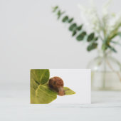 Visitekaartje slak (Staand voorkant)