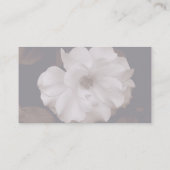 visitekaartje "Spring Sepia Roos" (Achterkant)