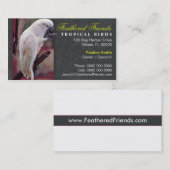 Visitekaartje tropische vogels (Voorkant / Achterkant)