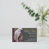 Visitekaartje tropische vogels (Staand voorkant)