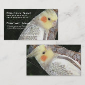 Visitekaartje van Afrikaanse grijze papegaai (Voorkant / Achterkant)