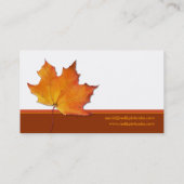 Visitekaartje van aple Leaf (Achterkant)