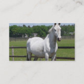 Visitekaartje van Arabische paarden (Achterkant)