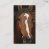 Visitekaartje van Arabische paarden (Achterkant)