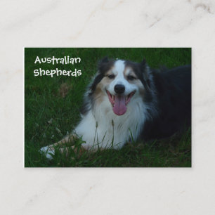 Visitekaartje van Australian Shepherd