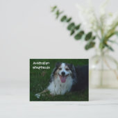 Visitekaartje van Australian Shepherd (Staand voorkant)