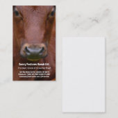 Visitekaartje van Brown Beef Steer (Voorkant / Achterkant)