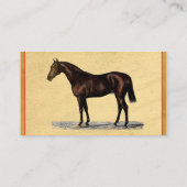 Visitekaartje van bruine paarden (Achterkant)