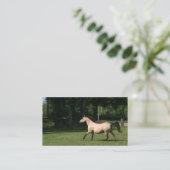 Visitekaartje van Buckskin horse (Staand voorkant)