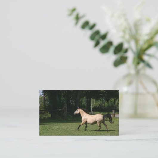 Visitekaartje van Buckskin horse (Staand voorkant)