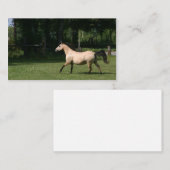 Visitekaartje van Buckskin horse (Voorkant / Achterkant)