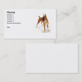 Visitekaartje van de Boxer-hond (Voorkant / Achterkant)