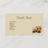 Visitekaartje van de fokker van Golden Retriever (Achterkant)