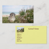 Visitekaartje van de fokker van Golden Retriever (Voorkant / Achterkant)