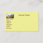 Visitekaartje van de fokker van Golden Retriever (Achterkant)