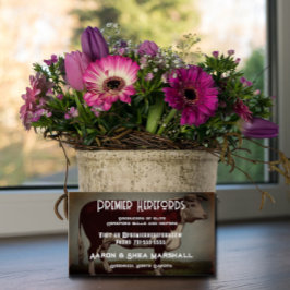 Visitekaartje van de Koe Hereford