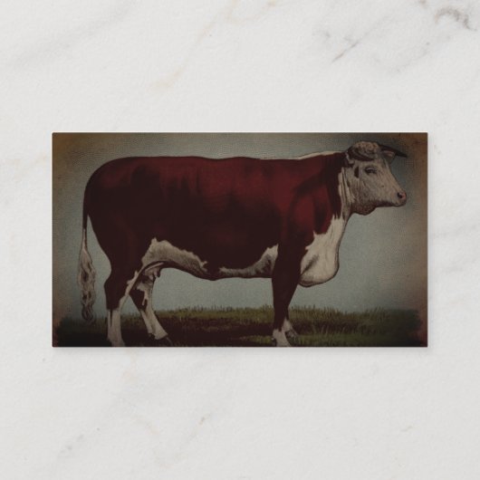 Visitekaartje van de  Koe Hereford (Achterkant)