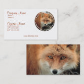 Visitekaartje van de soort "Fox Species" (Voorkant / Achterkant)