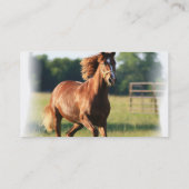 Visitekaartje van galoping (Achterkant)