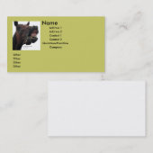 Visitekaartje van gekke paarden (Voorkant / Achterkant)