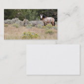 Visitekaartje van het paardenras (Voorkant / Achterkant)