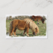 Visitekaartje van kastanjepaarden (Achterkant)