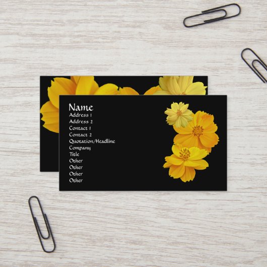 Visitekaartje van kosmos (Cosmos sulhureus) Bloeme (Voorkant / Achterkant in situ)