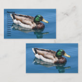 Visitekaartje van Male Duck (Voorkant / Achterkant)