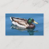 Visitekaartje van Male Duck (Achterkant)