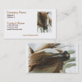 Visitekaartje van Mustang Wild Horse (Voorkant / Achterkant)