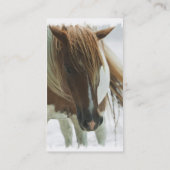 Visitekaartje van Mustang Wild Horse (Achterkant)