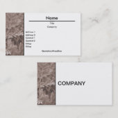 Visitekaartje van olijven (Sepia) (Voorkant / Achterkant)