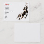 Visitekaartje van paarden (Voorkant / Achterkant)