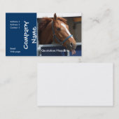 Visitekaartje van paarden (Voorkant / Achterkant)