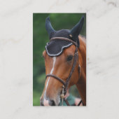 Visitekaartje van paardenpest (Achterkant)