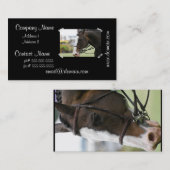 Visitekaartje van paardenpest (Voorkant / Achterkant)