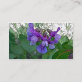 Visitekaartje van perwten (Lathyrus maritimus) (Achterkant)
