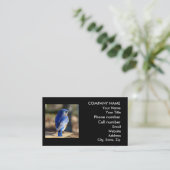 Visitekaartje van prachtige blauwvogel (Staand voorkant)