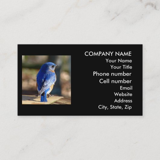 Visitekaartje van prachtige blauwvogel (Voorkant)