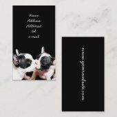 Visitekaartje van puppies van Franse Bulldog (Voorkant / Achterkant)