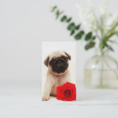 Visitekaartje van rode rozenpups (Staand voorkant)