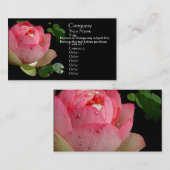 Visitekaartje van Roze Water Lily (Voorkant / Achterkant)