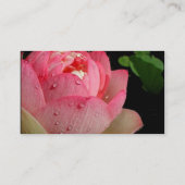 Visitekaartje van Roze Water Lily (Achterkant)