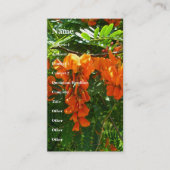 Visitekaartje van Scarlet Wisteria (Sesbania punic (Voorkant)