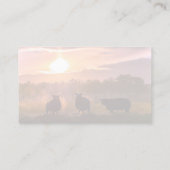 Visitekaartje van schapenlamsveehouders (Achterkant)